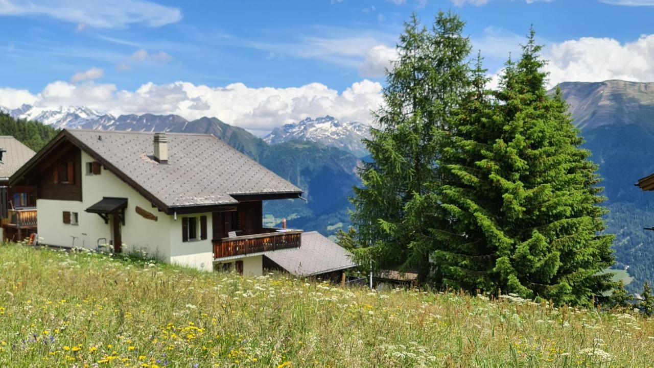 Apartamento Bettmeralp Chalet Zendorn Exterior foto